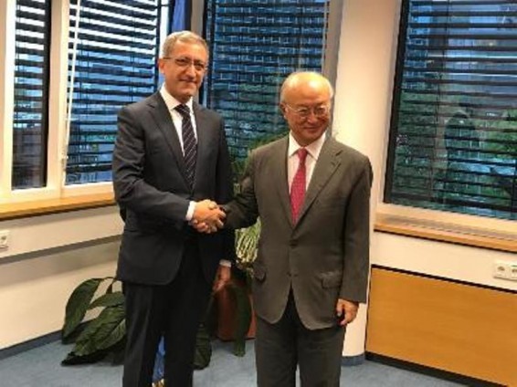 Վիեննայում քննարկել են ատոմակայանի շահագործման ժամկետի երկարաձգման ընթացքը