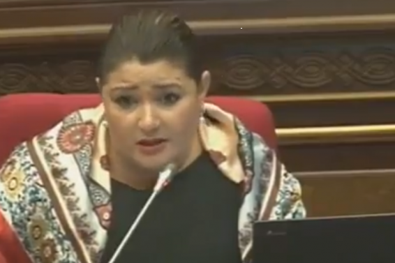 Video. Սպանված անգղների գործով կհարուցվի քրեական գործ. Արծվիկ Մինասյան