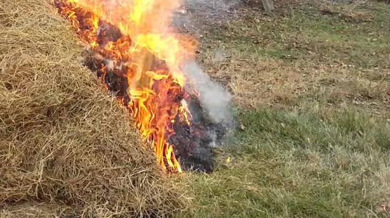 Վարդաշատ գյուղում 2600 հակ անասնակեր է այրվել