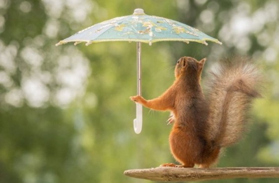 Օդի ջերմաստիճանը 17-ի գիշերը կնվազի 3-5 աստիճանով