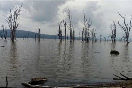 Քենիայում լրագրողներ տեղափոխող ուղղաթիռը վթարի է ենթարկվել