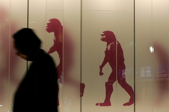 Քաղաքները խթանում են նոր կենդանատեսակների առաջացմանը. գիտնականներ