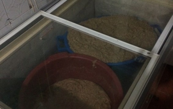 Հացի արտադրամասերում խախտվել են սանիտարահիգիենիկ նորմերը