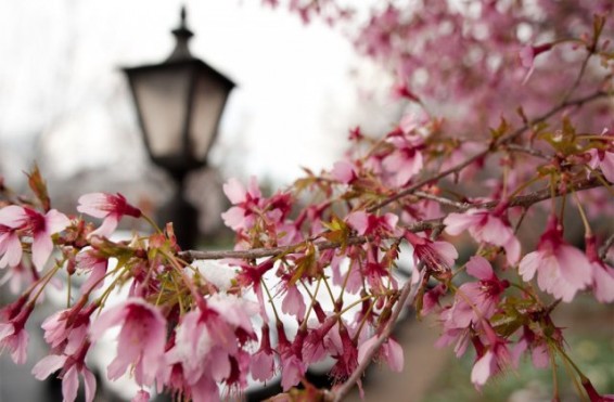 Ինչ եղանակ է սպասվում առաջիկա օրերին