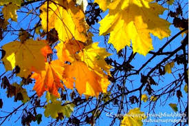 Օդի ջերմաստիճանը նոյեմբերի 29-ի գիշերը կբարձրանա 3-4 աստիճանով