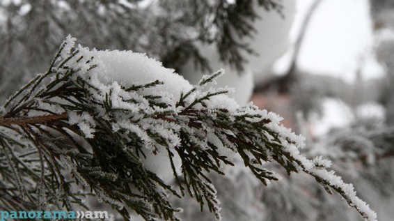 Դեկտեմբերի կլիմայական բնութագիրը և ամսական կանխատեսումը