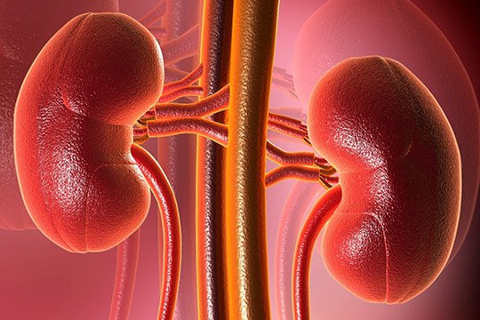 Ռուսաստանում 18-ամյա աղջիկը ինտերնետ-աճուրդի է դրել իր երիկամը