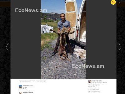 Քրեական պատասխանատվությունը կխստացվի. Կենդանական աշխարհի օրենքում փոփոխություններ կարվեն