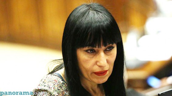 ԵԽԽՎ ձմեռային նստաշրջանից առաջ Ադրբեջանը փորձում է կոսմետիկ փոփոխություն կատարել. Նաիրա Զոհրաբյան