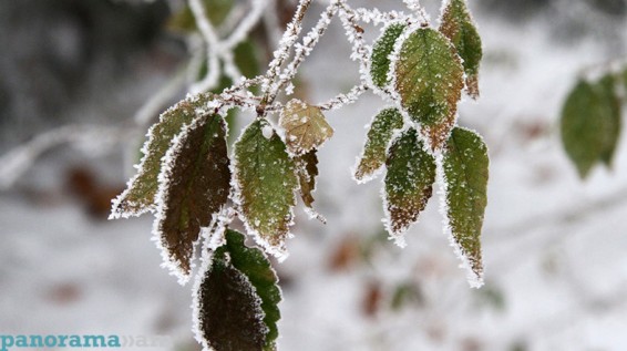 ԱԻՆ. Սպասվում է տեղումներ, քամու ուժգնացում