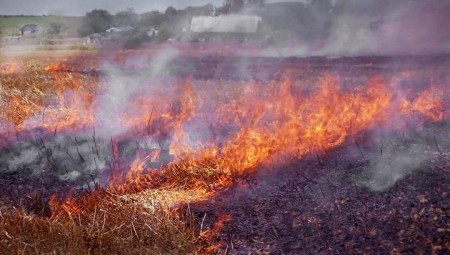 Հրդեհներ Արարատի մարզում