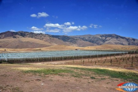 Գարնան գյուղատնտեսական աշխատանքները մեկնարկել են. շարունակվում են պետական աջակցության ծրագրերը