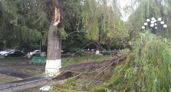 Глобальное потепление - не сказка: на Армению может обрушиться катастрофа