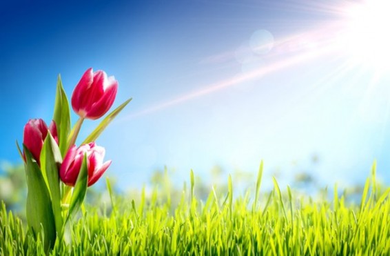 Օդի ջերմաստիճանն աստիճանաբար կբարձրանա