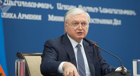 Глава МИД Армении прокомментировал реакцию диаспоры и мировой прессы на протесты
