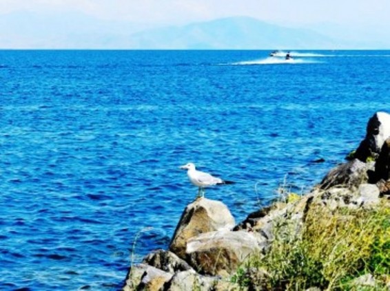 Սեւանա լճից մեկնարկել է ջրառը, լիճը կրկին բացասական հաշվեկշիռ ունի
