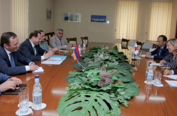 ՀՀ պաշտպանության նախարարն ընդունել է Հայաստանում Կարմիր խաչի միջազգային կոմիտեի գրասենյակի ղեկավարին