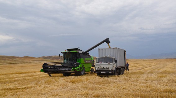 Արցախում ցորենի և գարու բերքահավաքը սկսվել է