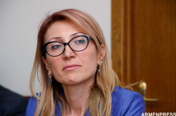 «Ընտանիքում բռնության կանխարգելման» խորհրդի կազմում կձևավորվի բռնության ենթարկվածների ֆինանսական աջակցության տրամադրման խումբ. նախարար