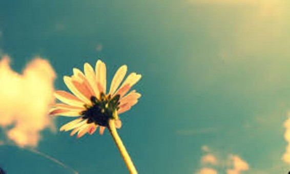 2016-ը կարող է դառնալ ամենաշոգ տարին պատմության ընթացքում