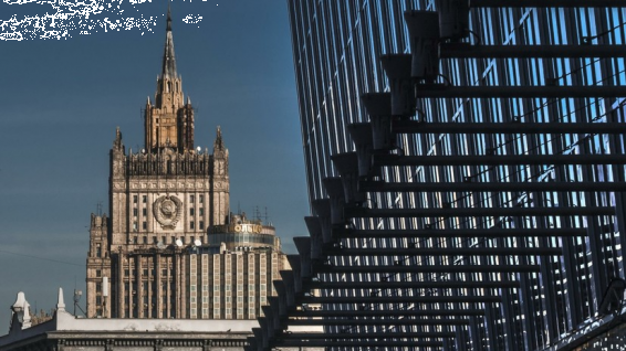 В МИД сообщили о планируемой встрече вице-премьера России и Асада