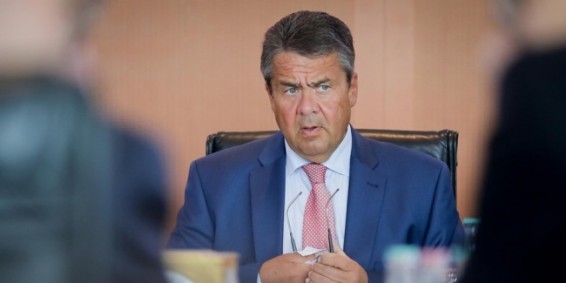 Экс-глава МИД Германии: Украина пыталась втянуть Германию в войну