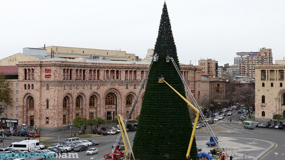 Բաբկեն Պիպոյան. Տոնածառի ձեռքբերման գործընթացը եղել է ոչ թափանցիկ