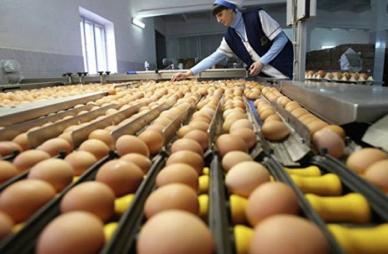 «Խնդրում ենք մեծածախ ու մանրածախ իրացնողներին արհեստականորեն չբարձրացնելու ձվի վաճառքի գները»