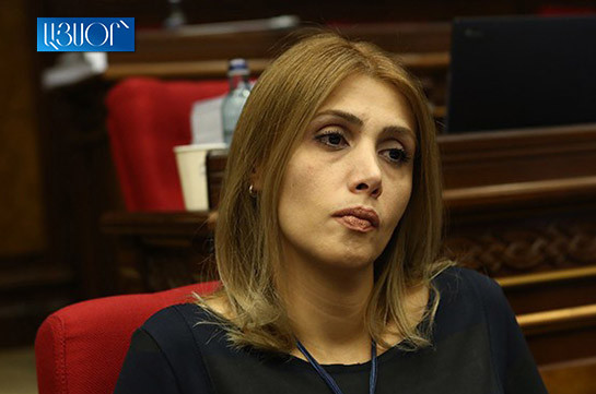 Կալանքի լայնորեն և չհիմնավորված կիրառումը շատ լուրջ խնդիր է. Էլինար Վարդանյան