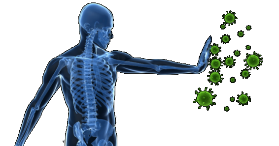 Իմունիտետը խթանող մոլեկուլը կարող է կանխել քաղցկեղը. հետազոտություն