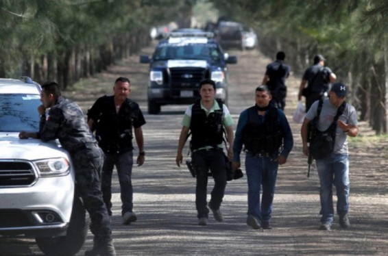 Մեքսիկայի նահանգներից մեկում մեկ օրվա մեջ 15 դի է հայտնաբերվել