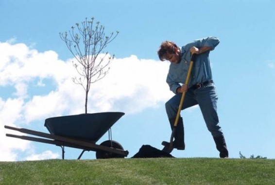 Ավստրալիայում 1 մլրդ ծառ կտնկեն ջերմոցային գազերի դեմ պայքարելու համար