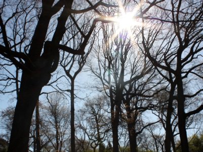 Աբովյանի քաղաքի հողամասերի աճուրդներում իրավախախտումների առնչությամբ մարզպետը դիմել է դատախազություն