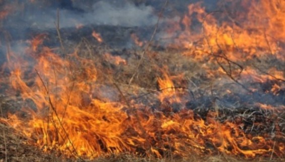 Լիպեցկի բանջարանոցներից մեկում բռնկված հրդեհը խլել է 4 մարդու կյանք