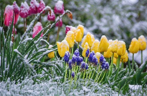 Եղանակը կցրտի 7-10 աստիճանով