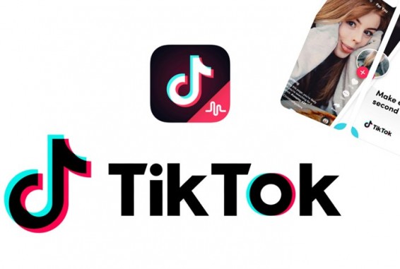 В Индии запретили приложение TikTok из-за педофилии и порнографии