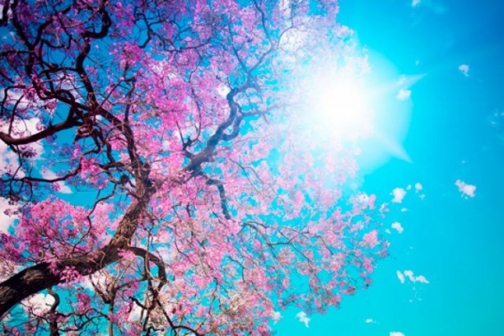 Օդի ջերմաստիճանը  կբարձրանա 2-3 աստիճանով