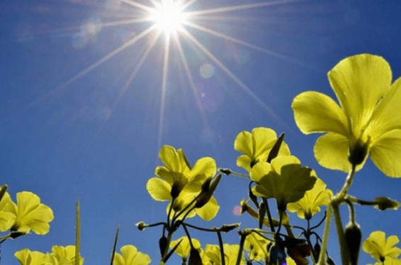 Ջերմաստիճանն այսօրվանից աստիճանաբար կբարձրանա 5-6 աստիճանով. սպասվում են կարճատև անձրև և ամպրոպ