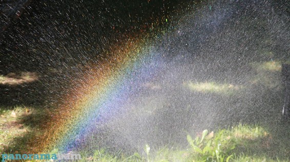 Վաղը ցերեկը մայրաքաղաքում ջերմաստիճանը կհասնի +32-ի