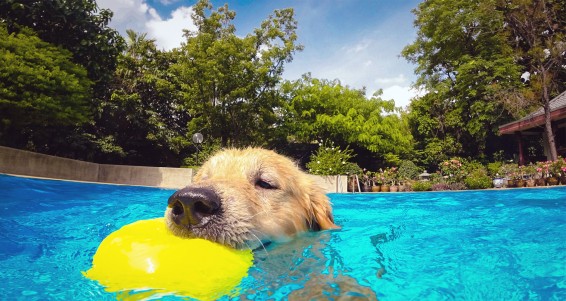 Օդի ջերմաստիճանն աստիճանաբար կբարձրանա