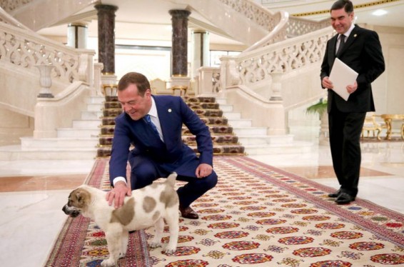 Թուրքմենստանի նախագահը Մեդվեդևին զբոսանքի է տարել իր «Վոլգա»-ով և շան ձագ նվիրել