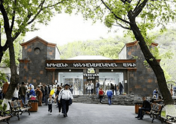 Կենդանաբանական այգու մուտքը հունիսի 1-ին փոքրիկ այցելուների համար անվճար է