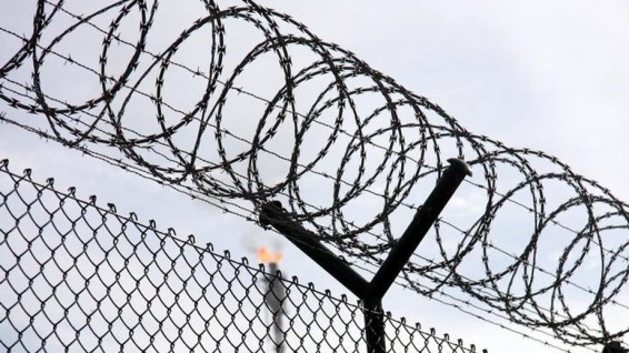 Համաներմամբ ազատ արձակված անձանց թիվը և նրանց կողմից նոր հանցագործություններ կատարելու միտումները