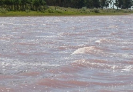 Մորն ասել էին, թե գնում են խաղալու. Հրազդանում խեղդված երեխաները եղբայրներ էին