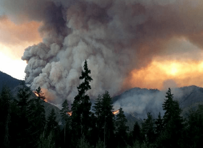 Հրդեհ հայ-վրացական սահմանին. երկու երկրների հրշեջները մոբիլիզացվել են