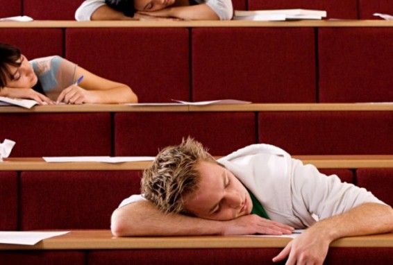 Ալարկոտությունը վկայում է բարձր ինտելեկտի մասին՝ ըստ ամերիկացի գիտնականների