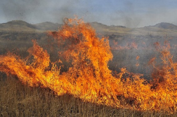 Հրդեհ՝ Վերին Ջրաշեն թաղամասի գերեզմանատան մոտ. դեպքի է վայր է մեկնել 4 մարտական հաշվարկ