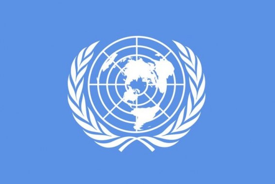 ՄԱԿ փորձագետները մտահոգված են երեխաների համար նախատեսված գովազդի հետեւանքների կապակցությամբ