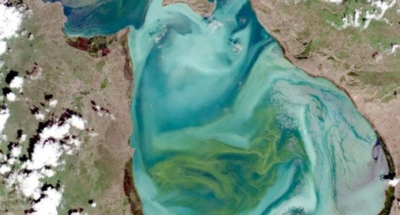 Սևանա լճի ինքնամաքրման գործընթացը շարունակվում է. Արսեն Թորոսյան