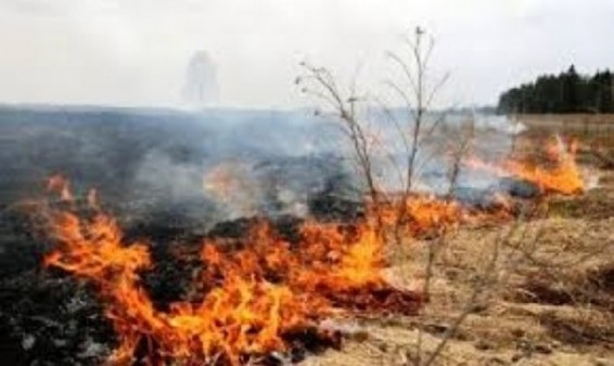 Մարսելը՝ հրդեհների սպառնալիքի առջև